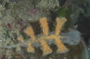 JfxH