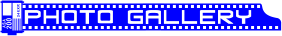tHgM[